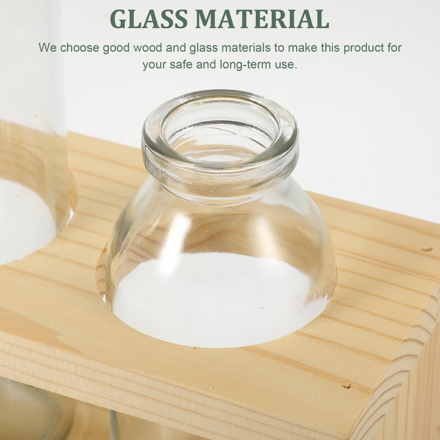 Alipis Glass Vase Set with Wooden Stand for Hydroponic Indoor Plants, Decorative Plant Terrarium Container for Home Décor and Table Centerpieces, Nordic Style Glass Planter, 2pcs