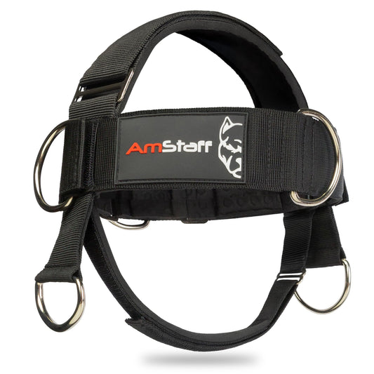 AmStaff Fitness Neck Harness for Weight Lifting – Adjustable Head & Chin Strap for Neck Strength, Muscle Building, Workout Training & Injury Recovery Support