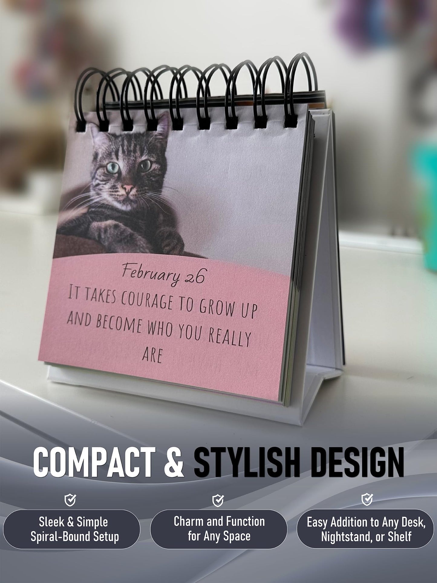 Daily Motivational Cat Calendar – 365 Reusable Quotes & Adorable Cat Photos for Year-Round Positivity – Desk Flip Calendar for Cat Lovers, Cute Animal Enthusiasts, & Motivation Seekers