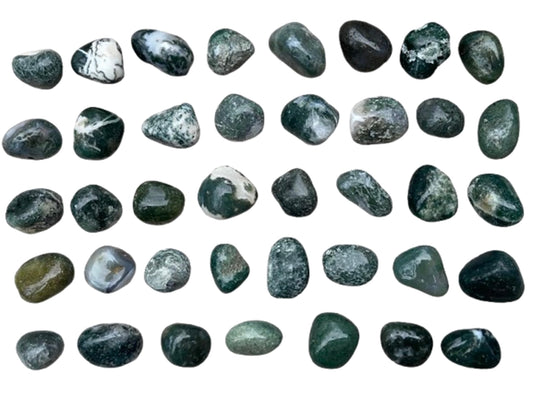 GAF TREASURES 5 Pcs Moss Agate Tumbled Stones, Polished Natural Moss Agate Gemstone, Moss Agate Healing Crystals (Moss Agate)