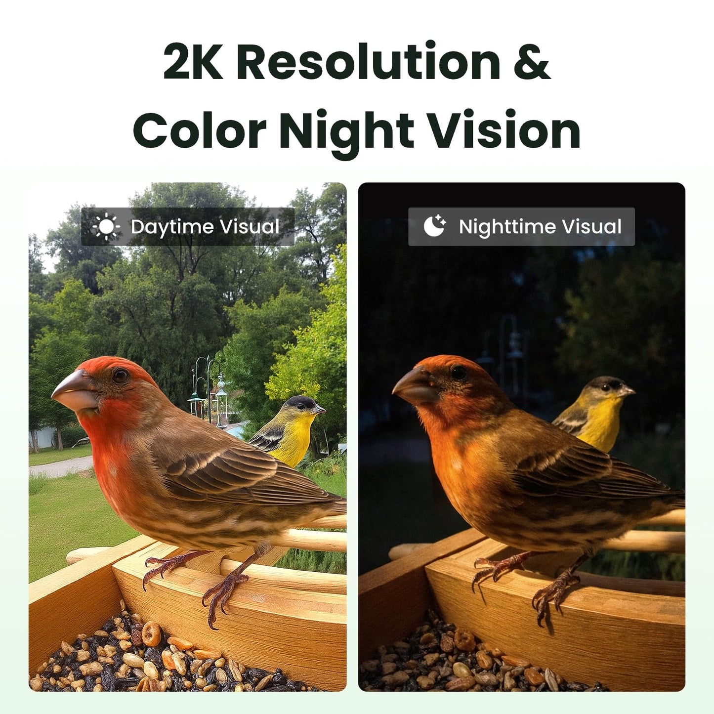 Birdfy Smart Bird Feeder with Camera, Solar Powered 2K Live tream Bamboo Wood feeder& Metal Guard, AI Identify Birds & Auto Record Video, Wild Birds Watching Ideal Gift for Chistmas for mom,Bird-Lover