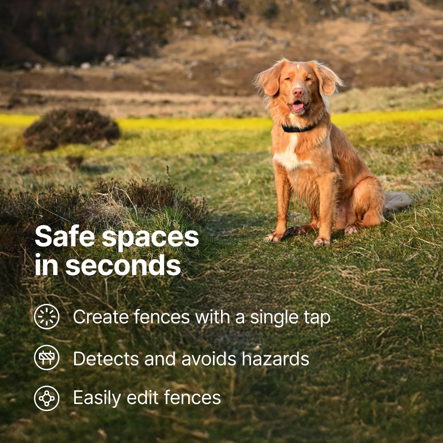 Halo Collar 5 Wireless Dog Fence & GPS Dog Collar, Keep Your Dog Safely Contained Outdoors with App-Controlled Boundaries and Real-Time Tracking, One Size, Realtree Camo