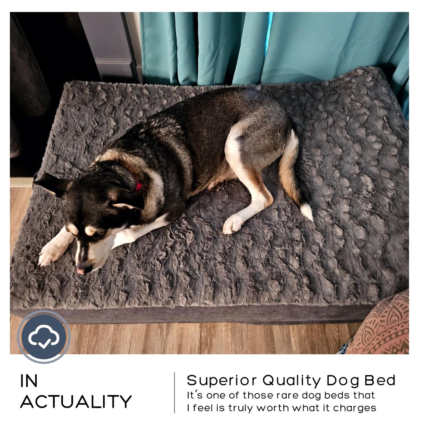 PetFun Jumbo Orthopedic Dog Bed for Large Dogs - 7-inch Thick Memory Foam Dog Bed with Pillow Removable Cover Machine Washable, Giant | 50 inch, Dark Gray