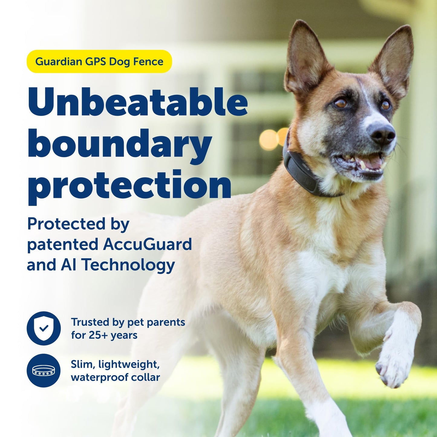 PetSafe Guardian GPS Dog Fence - Advanced AccuGuard Technology - Wireless Virtual Fence - No Subscription Required - Waterproof Collar with Long Lasting Battery - Easy to Set Up