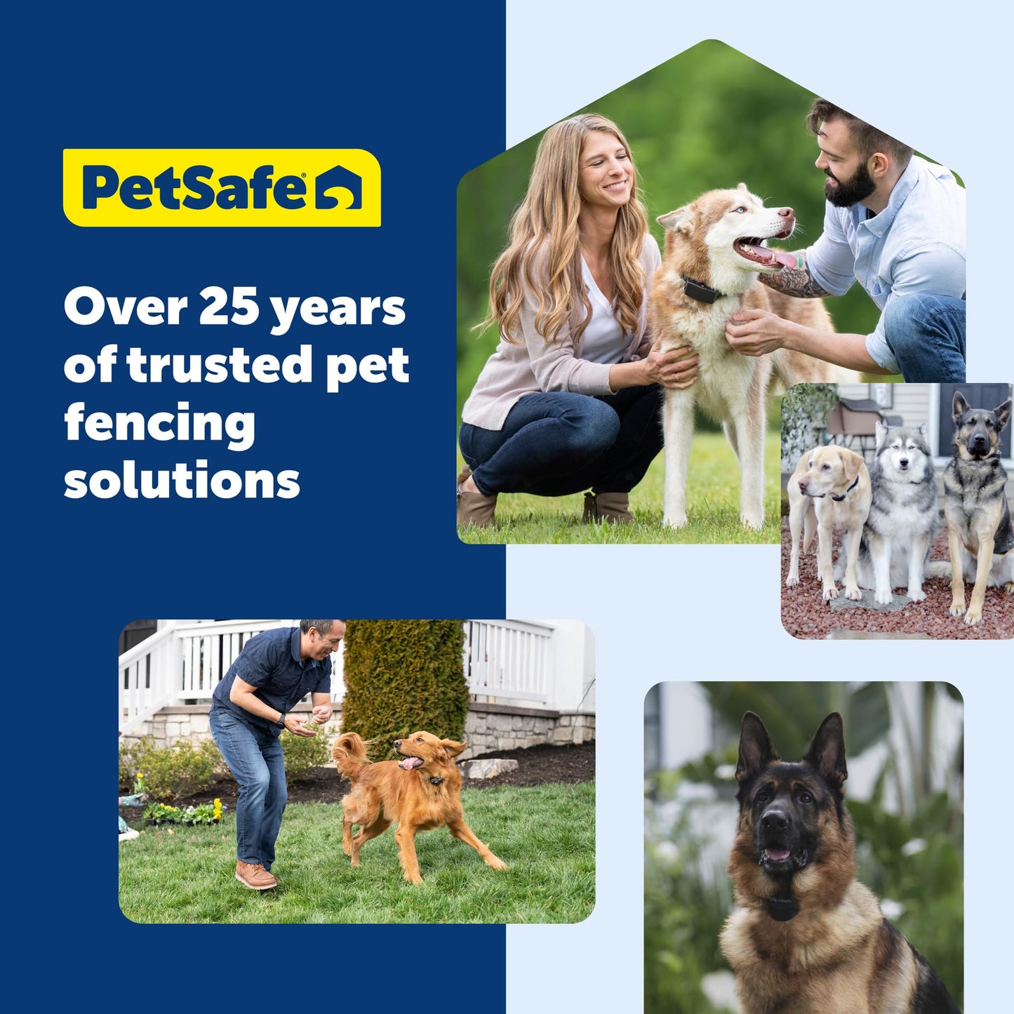 PetSafe In-Ground Fence Receiver Collar for Cats - Waterproof & Battery-Operated Adjustable Invisible Perimeter Training Collar - for Cats Older Than 6 Months, Weighing Over 6 lbs