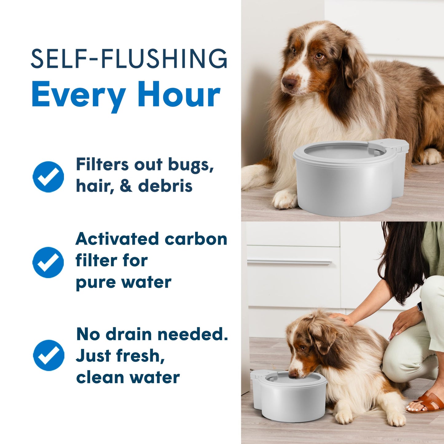 Always Full® 9” Dog Water Bowl with Wall Unit, Self Refilling Clean Filtered Water System, App Enabled Smart Hydration Tracking, Automatic Water Bowl for Dogs and Cats