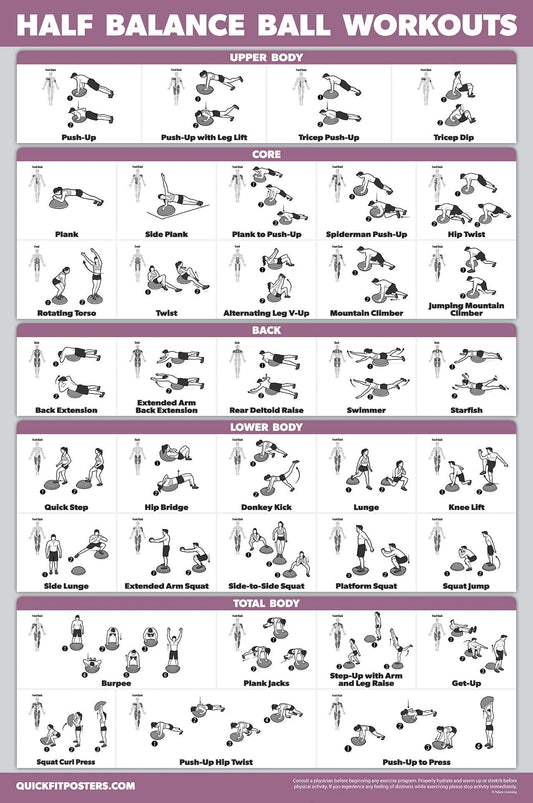 Palace Learning Half Balance Ball Workout Poster - Exercise Chart (LAMINATED, 18" x 24")