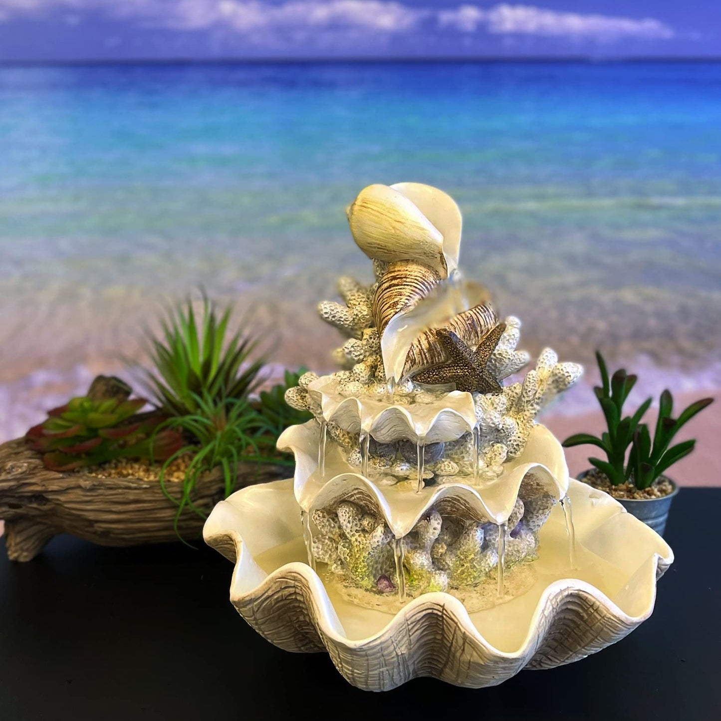 10.5" H Coral Reef Shell Fountain Indoor Fountain with LED Lights and Adjustable Motor Pump (Power Cord Attached) (Resin)