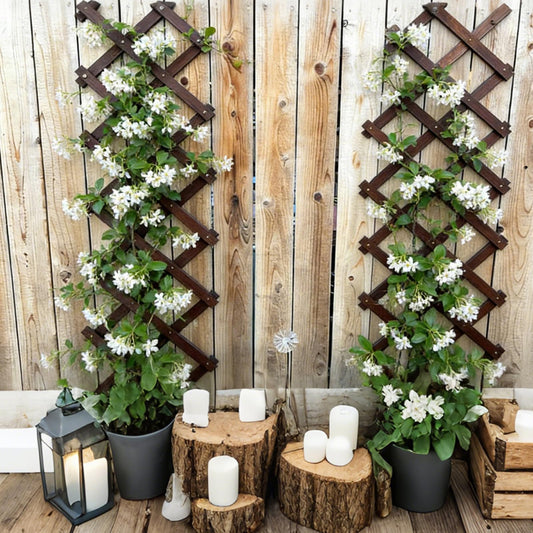 4 Pcs Expandable Garden Trellis, 13" x 68" Thickened Wooden Lattice Trellis for Climbing Plants Outdoor Ivy Vine Rose Clematis for Garden Fence Wall Patio Room Decor (4)