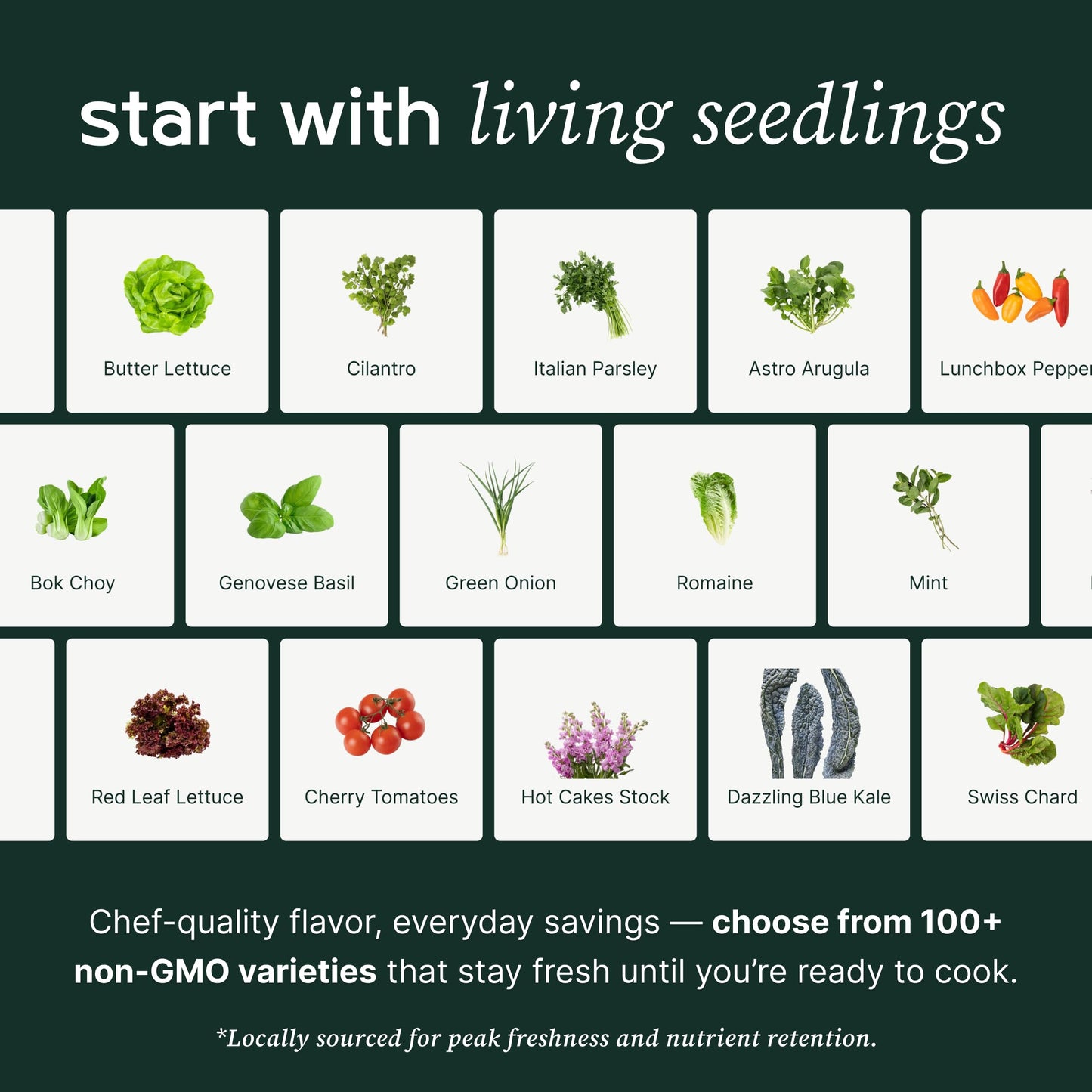 Farmstand Starter Kit + 24 Seedling Credit | Medium Hydroponic Growing System Kit | Self-Watering Outdoor Vertical Garden Planter Tower | 4ft 10in | Made in USA