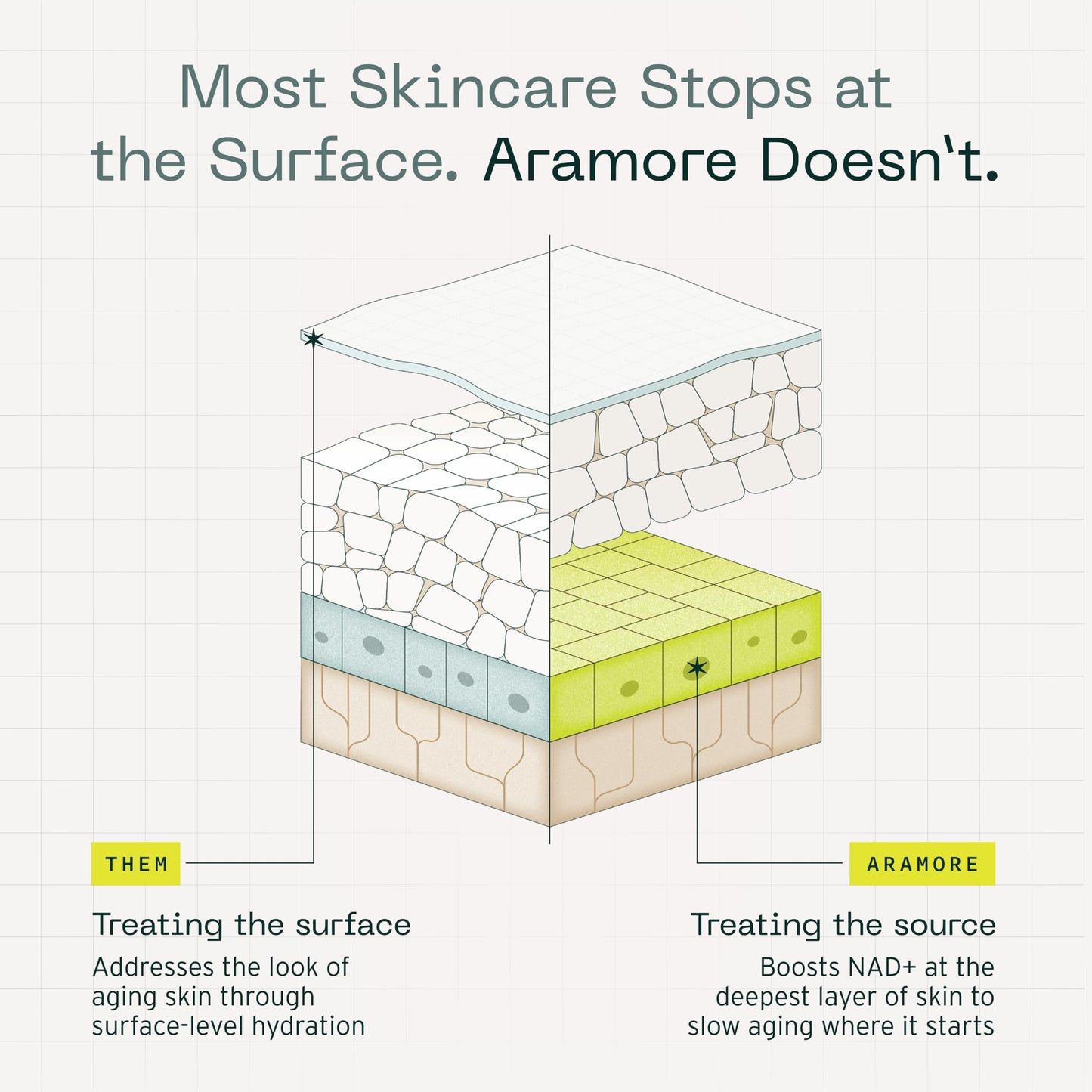 Aramore NAD+ Cell Energizing Skin Care Treatment with Proprietary NAD+ Precursor Complex, Clinically Proven to Target 12 Signs of Aging - 50ml