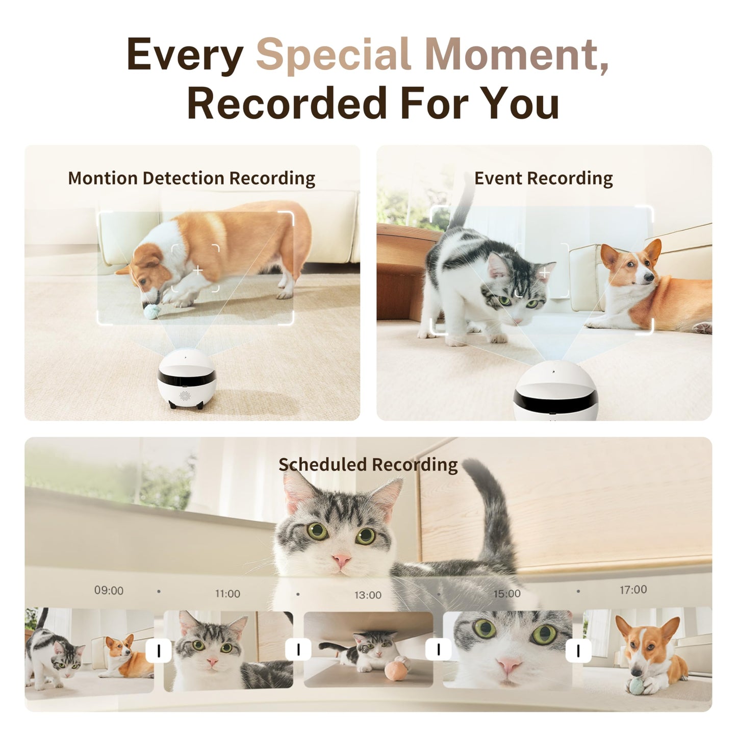 Enabot EBO ROLA Mini FamilyBot 2K Pet Camera Robot: Movable Indoor Camera Battery-Powered with Phone App, One-Touch Call, 2-Way Talk, Night Vision, Motion Detection, Video Recording