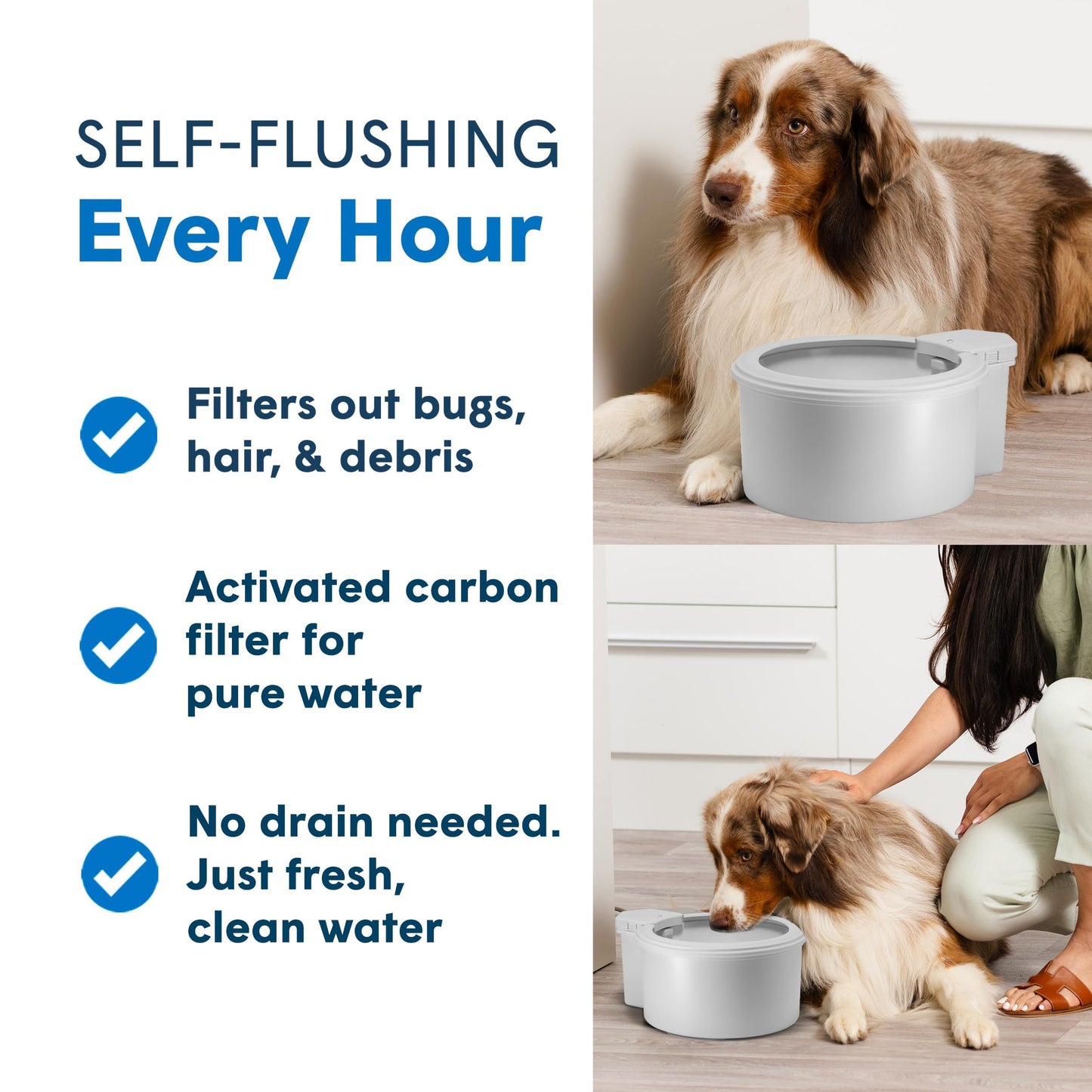 Always Full® 7” Cat Water Bowl and Bottle Pump Bundle, Self Refilling with Clean Filtered Water, App Enabled Smart Hydration Monitoring, Upgradeable System for Cats and Small Dogs