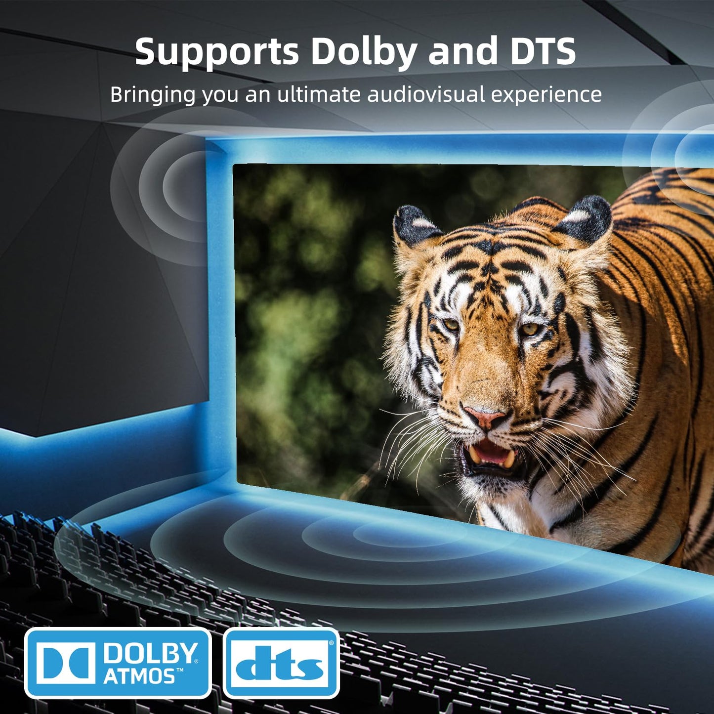 Displayport Switch 2-in-1-out, 8K@60Hz, 4K@120Hz, Resolution DP 1.4 DisplayPort Switcher Selector Box【Not Support Bi-Direction .Not Support1 in 2 Out 】
