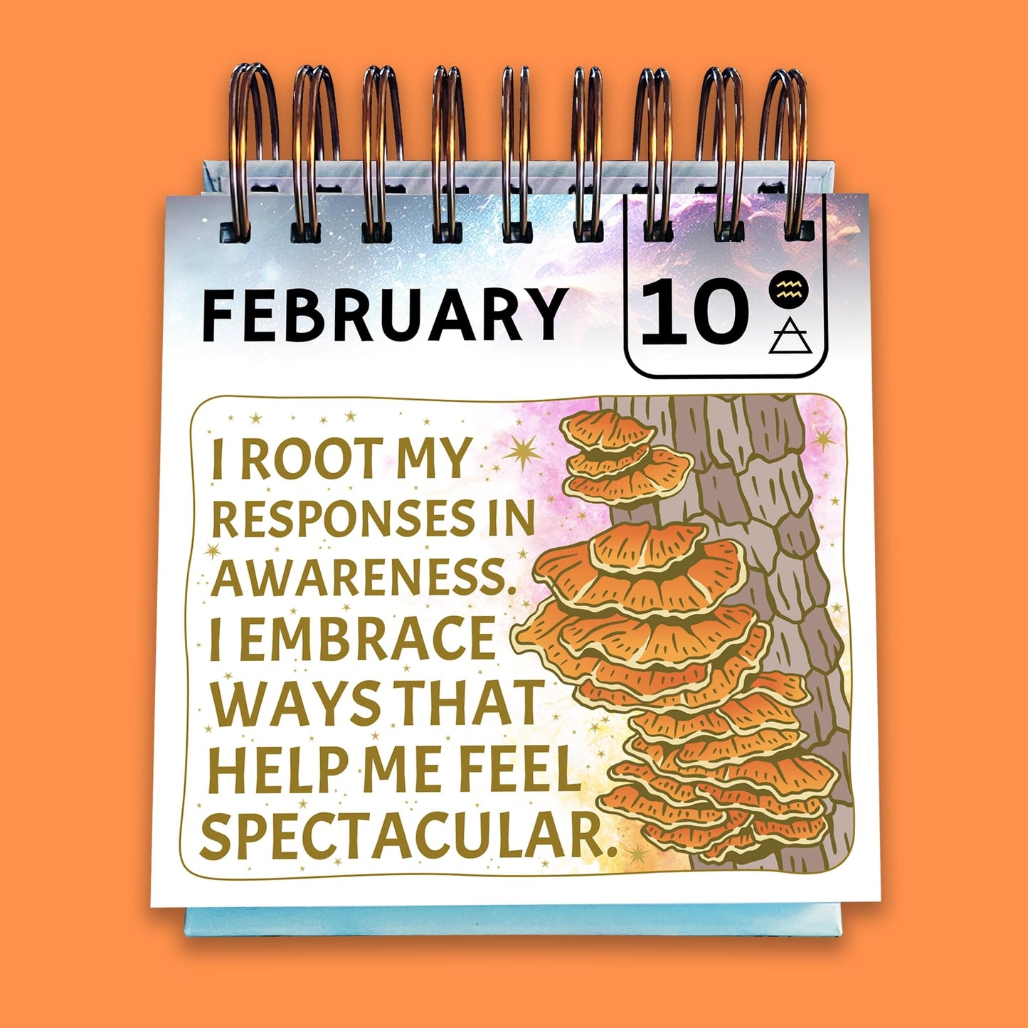 Sweet-A** Affirmations® Perpetual Desk Flip Calendar for 2025 and Beyond, 365 Days of Motivation for Your Creative Magical Mind by Rage Create