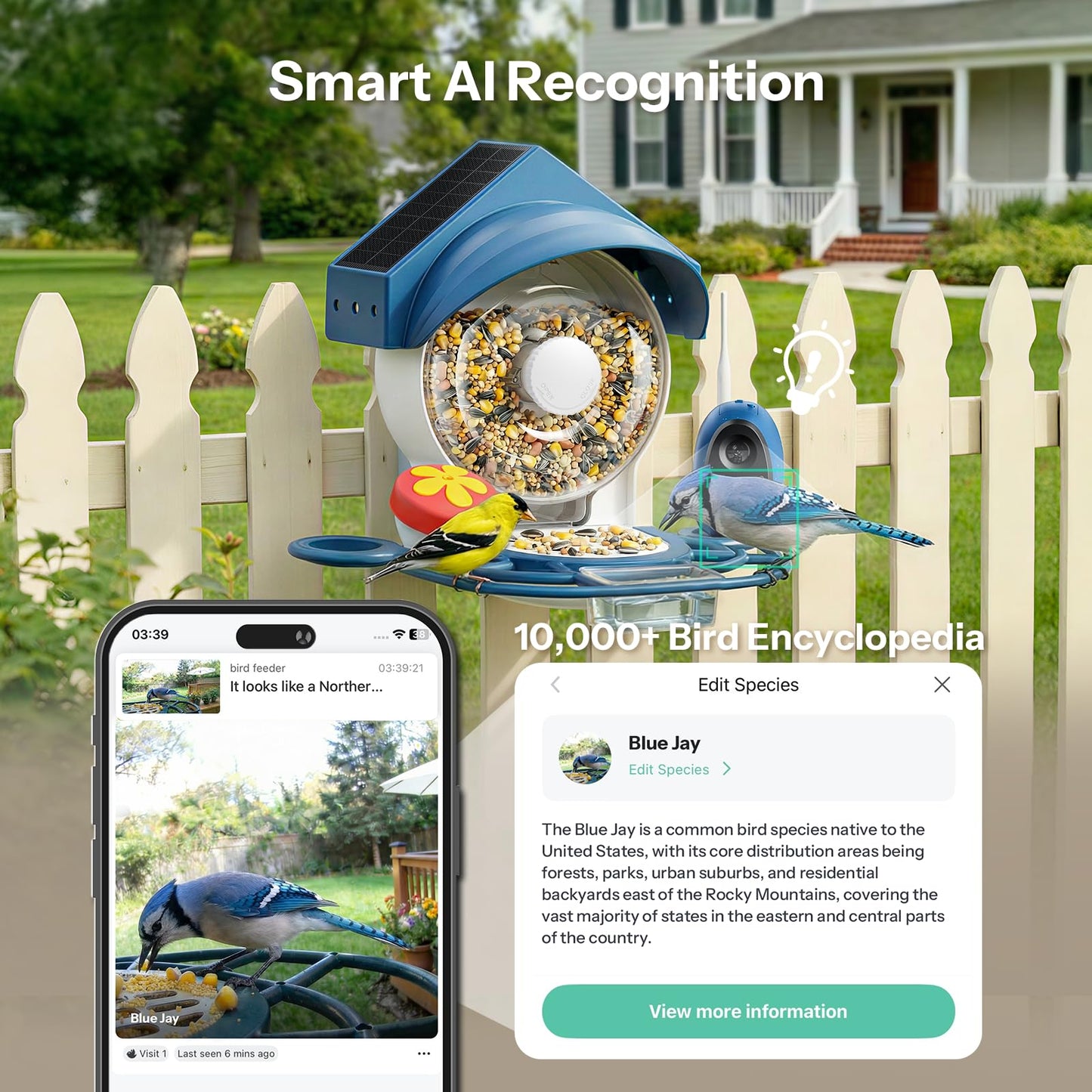 Liscuty Smart Bird Feeder with Camera - 2K HD Smart Bird Feeder, Solar Powered Outdoor Birdhouse with Easy Clean Design for Backyard Birding & Wildlife Bird Watching, Gift for BirdLover (Blue)