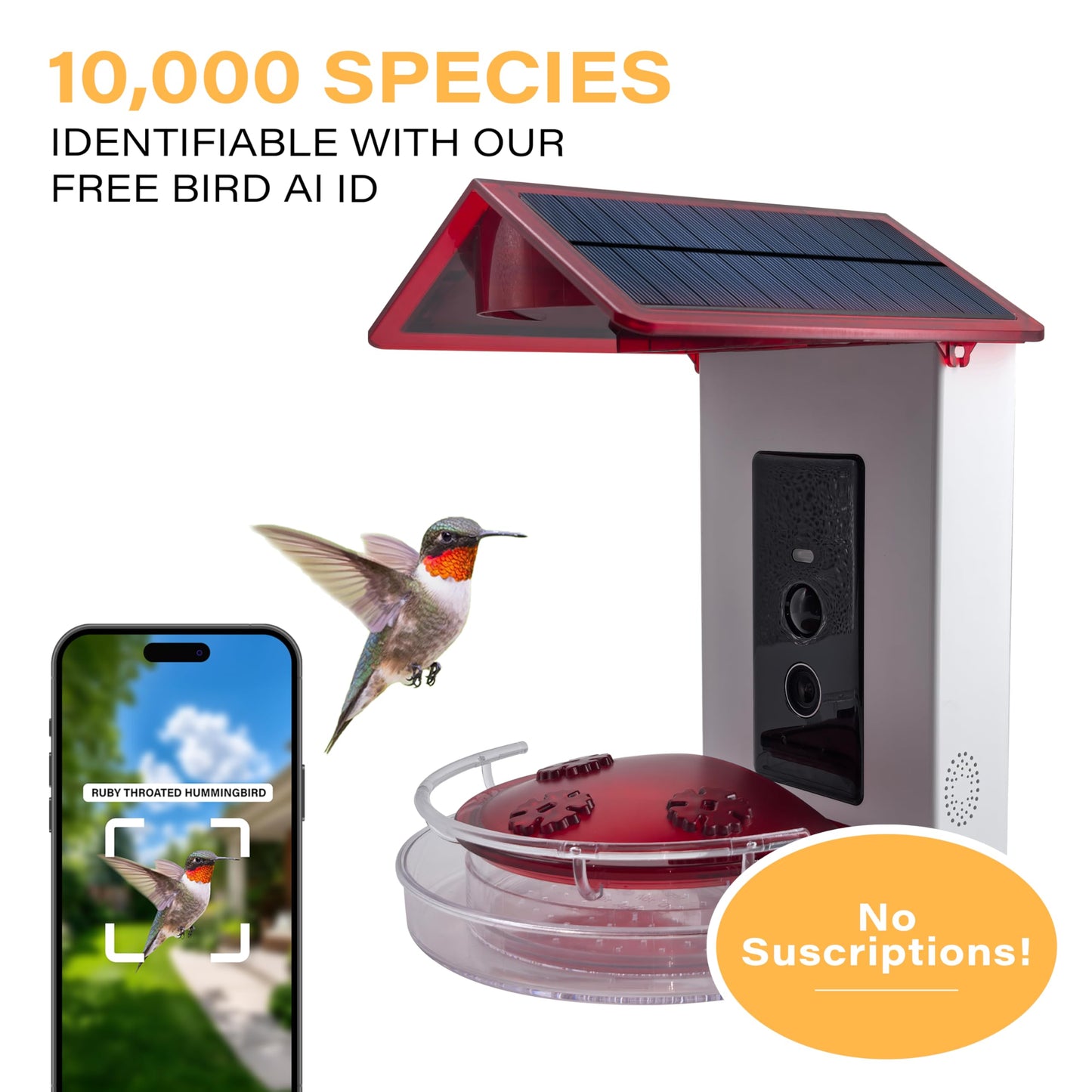 Quick Setup Smart Solar Hummingbird Feeder with Camera 1080P 2MP High-Def and WiFi AI Bird Identification Birdfeeder, Ant Guard Moat, Squirrel Alarm, Removeable Tray, Identifies 10,000+ Birds