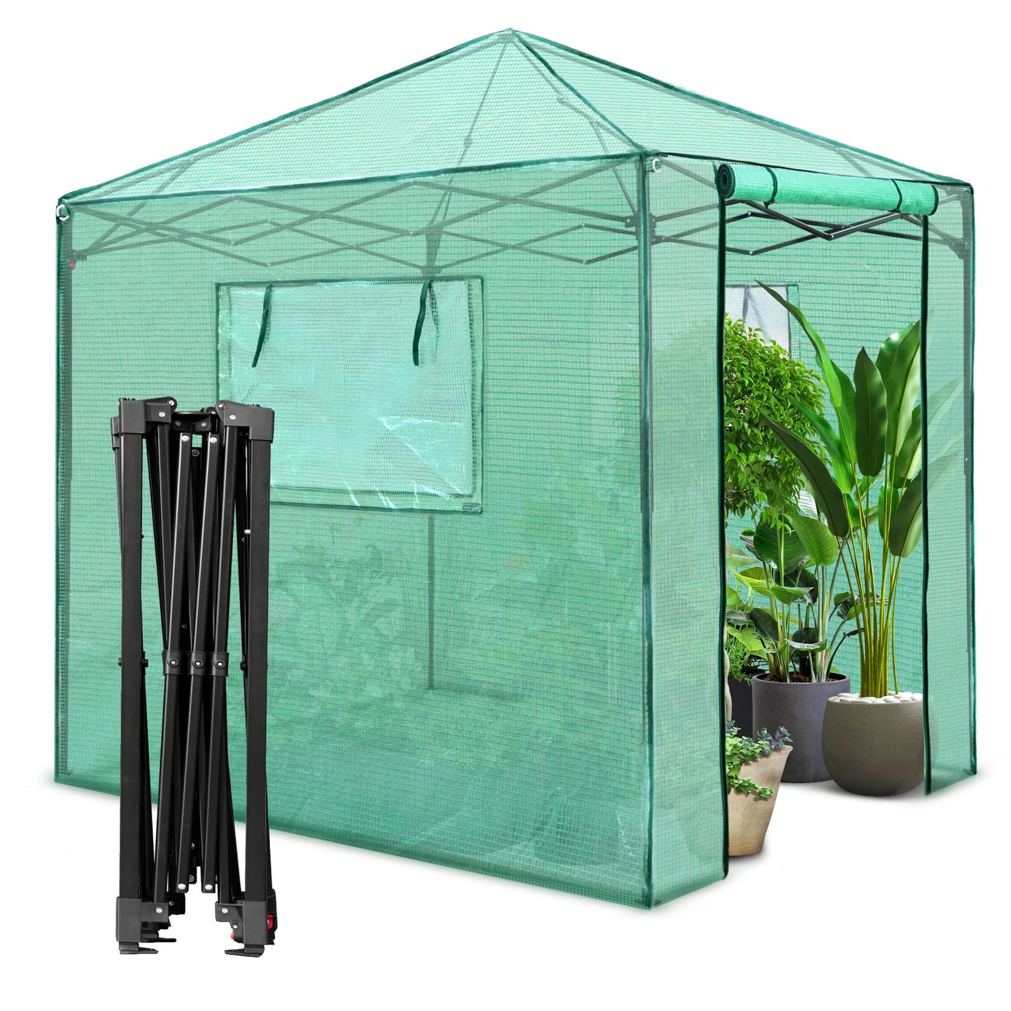 PexFix 8'x 8' Portable Walk-in Greenhouse, Easy Setup, Indoor/Outdoor, 2 Roll-Up Mesh Windows, Roll-Up Zipper Door, Green