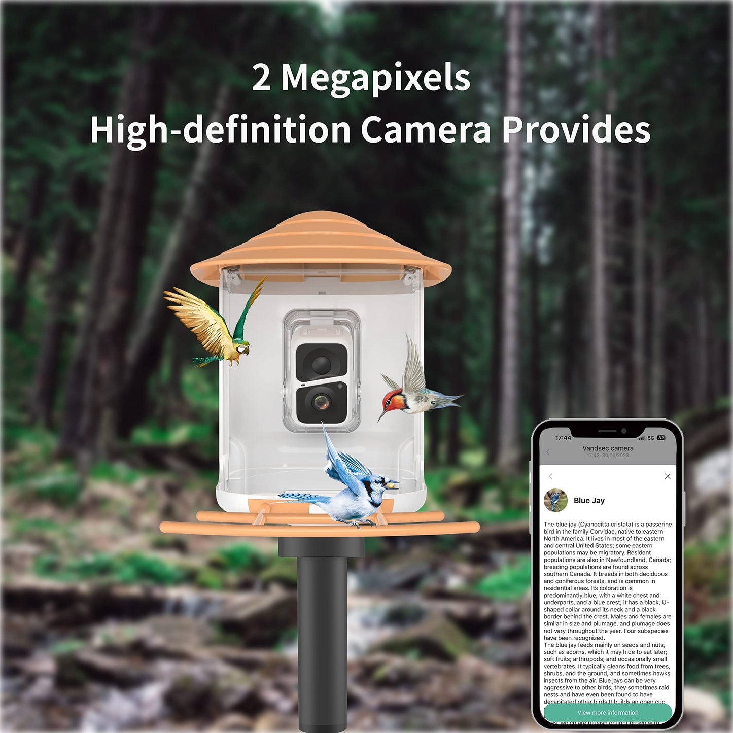 PAXI DAYA Solar Powered AI Window Bird Feeder with 2MP Camera Weatherproof Smart Outdoor Decor Metal Feeder for Birds Pack of 1 Orange