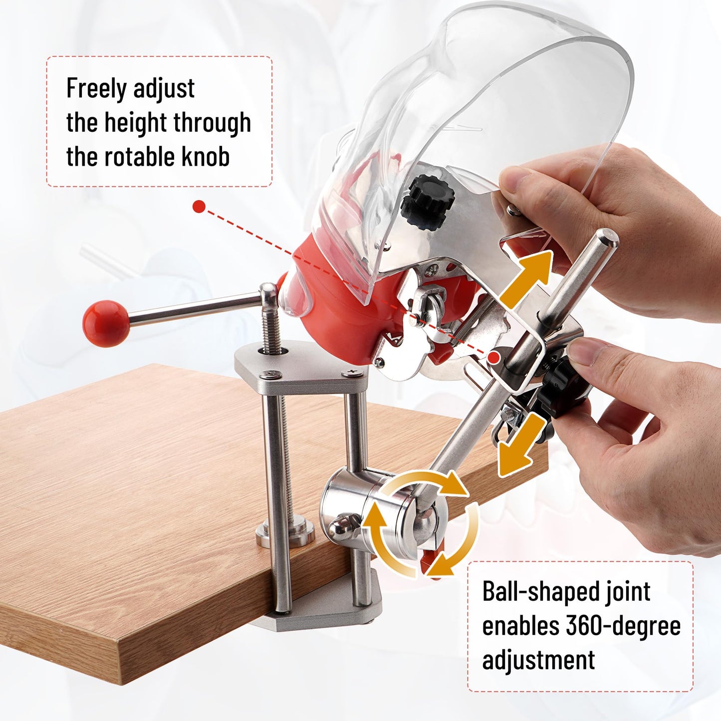 4E 4E's USA Dental Bench-Mounted Training Manikin (28 Teeth): Phantom Head Model with Desk Clamp, Head Base, Facemask & Drainage Tube, Ideal for Demonstration & Education