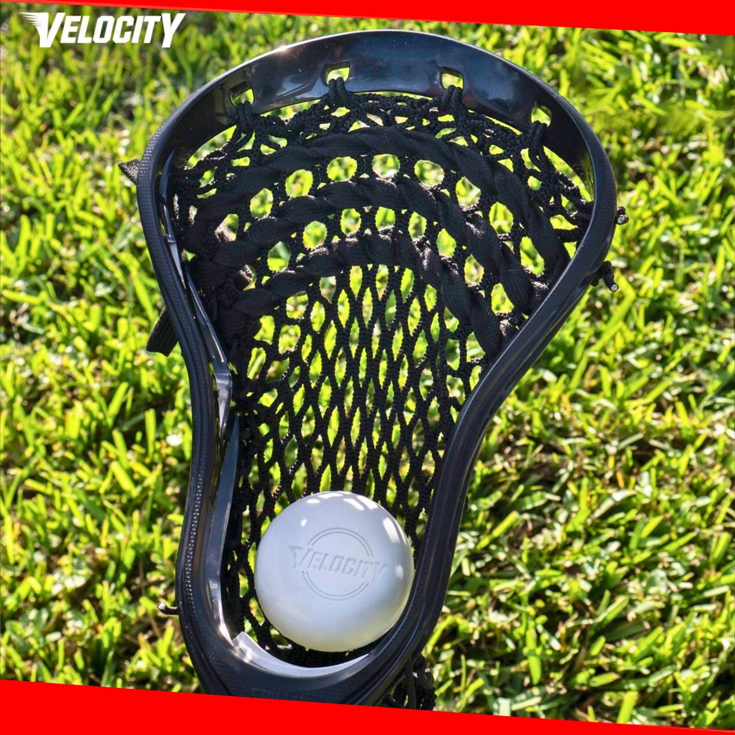 Velocity Practice Lacrosse Balls - 1, 2, 3, 6, 12, 18, 24, 36, 60 and 120 Packs - Official Size and Weight - Light Blue