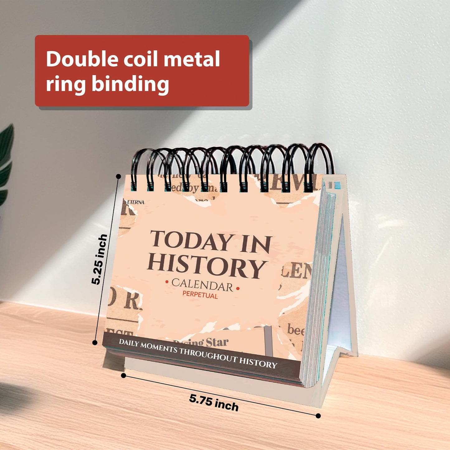 Today in History Perpetual Calendar | Daily World History Facts Desktop Calendar, This Day In Amazing History Trivia Facts & Achievements | History Buff Gift Page A Day Box Calendar with Historical Info For Every Day of The Year