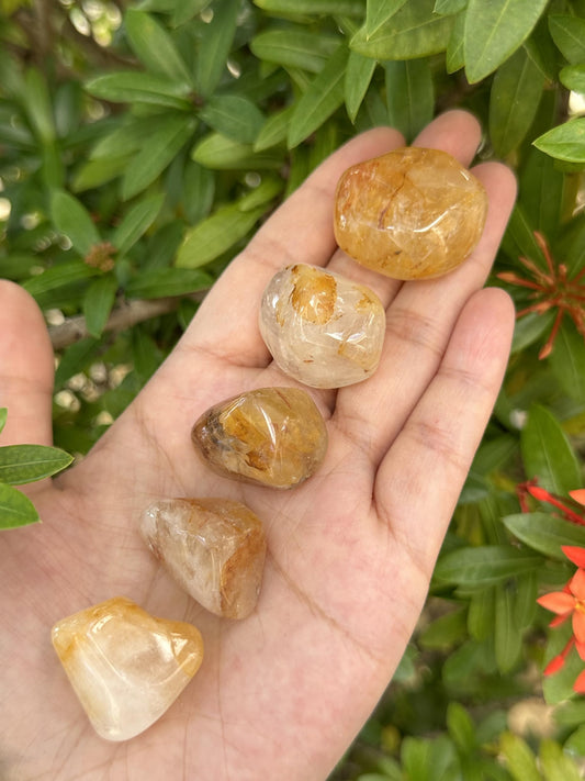 GAF TREASURES 5 Pcs Golden Healer Quartz Tumbled Stones, Polished Natural Golden Healer Quartz Gemstone, Golden Healer Quartz Healing Crystals (Golden Healer Quartz)