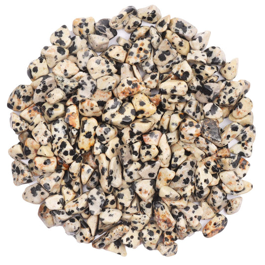 500 pcs Natural Chip Stone Beads, Dalmatian 5-8 mm Irregular Gemstones Healing Crystal Loose Rocks Bead Hole Drilled for Jewelry Making Bracelet