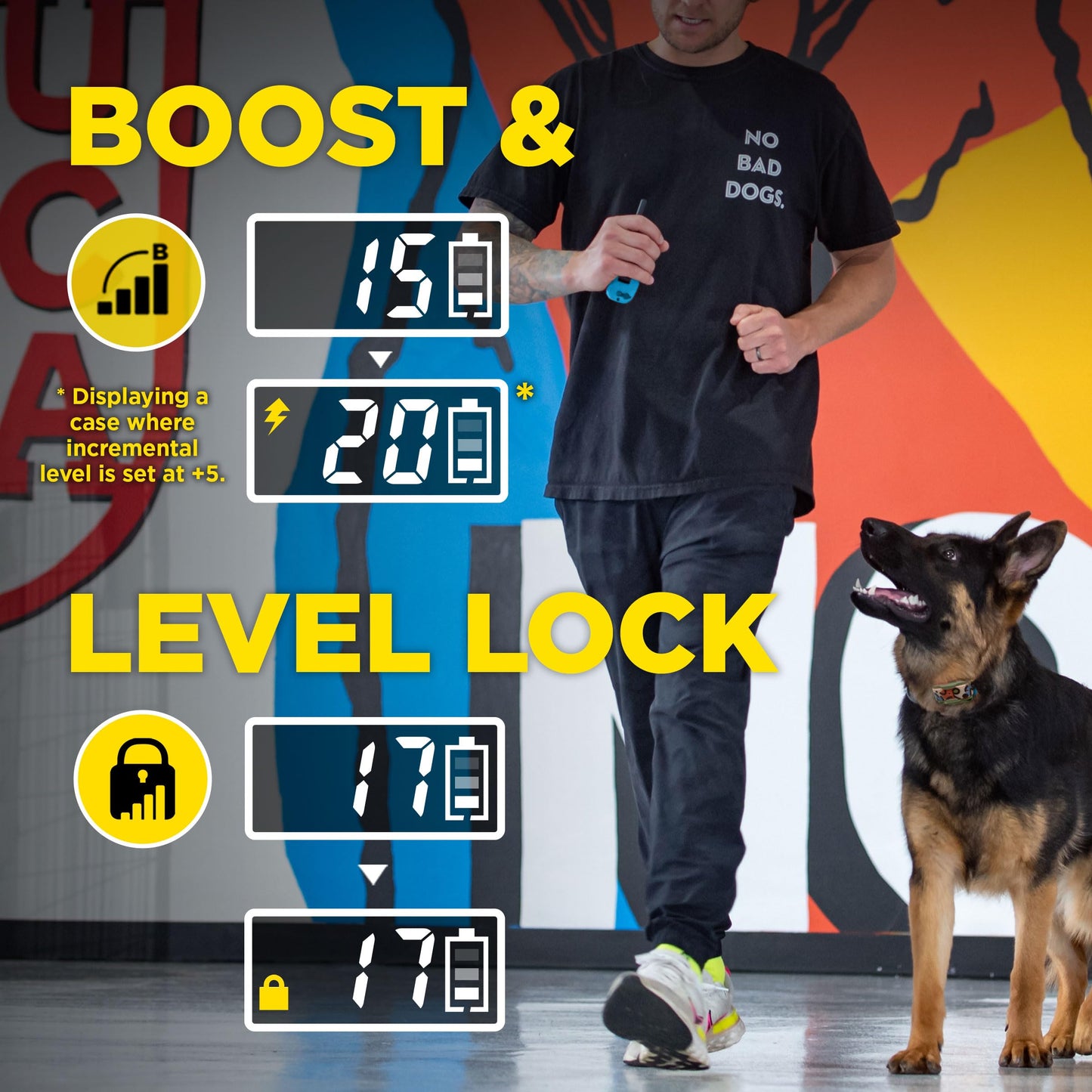 Dogtra E-Collar Tom Davis 280C 2.0 [2025 Edition], Boost & Lock, Waterproof, 1/2-Mile Range Dog Training Collar with Remote, Rechargeable, 127 Levels, Vibration, Bungee, No Bad Dogs Trainers