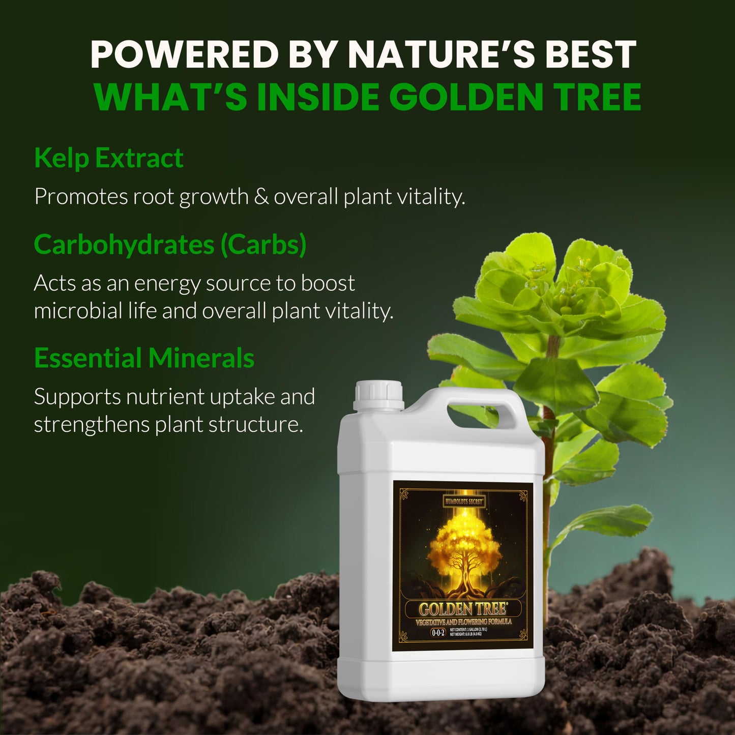 Humboldts Secret Golden Tree Liquid Plant Food | Enhances Growth Indoors or Outdoors | All-in-One Plant Nutrients for Vegetables, Trees, Flowers, Fruits, Roses, Lawns, Tomatoes | 1 Gallon