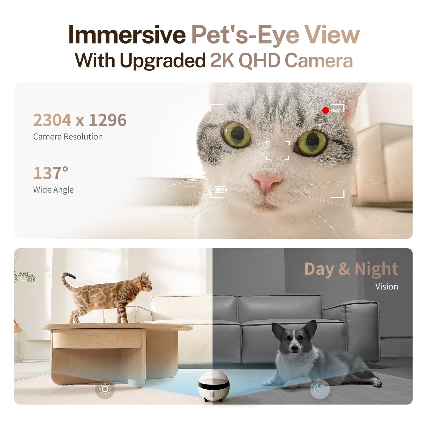Enabot EBO ROLA Mini FamilyBot 2K Pet Camera Robot: Movable Indoor Camera Battery-Powered with Phone App, One-Touch Call, 2-Way Talk, Night Vision, Motion Detection, Video Recording