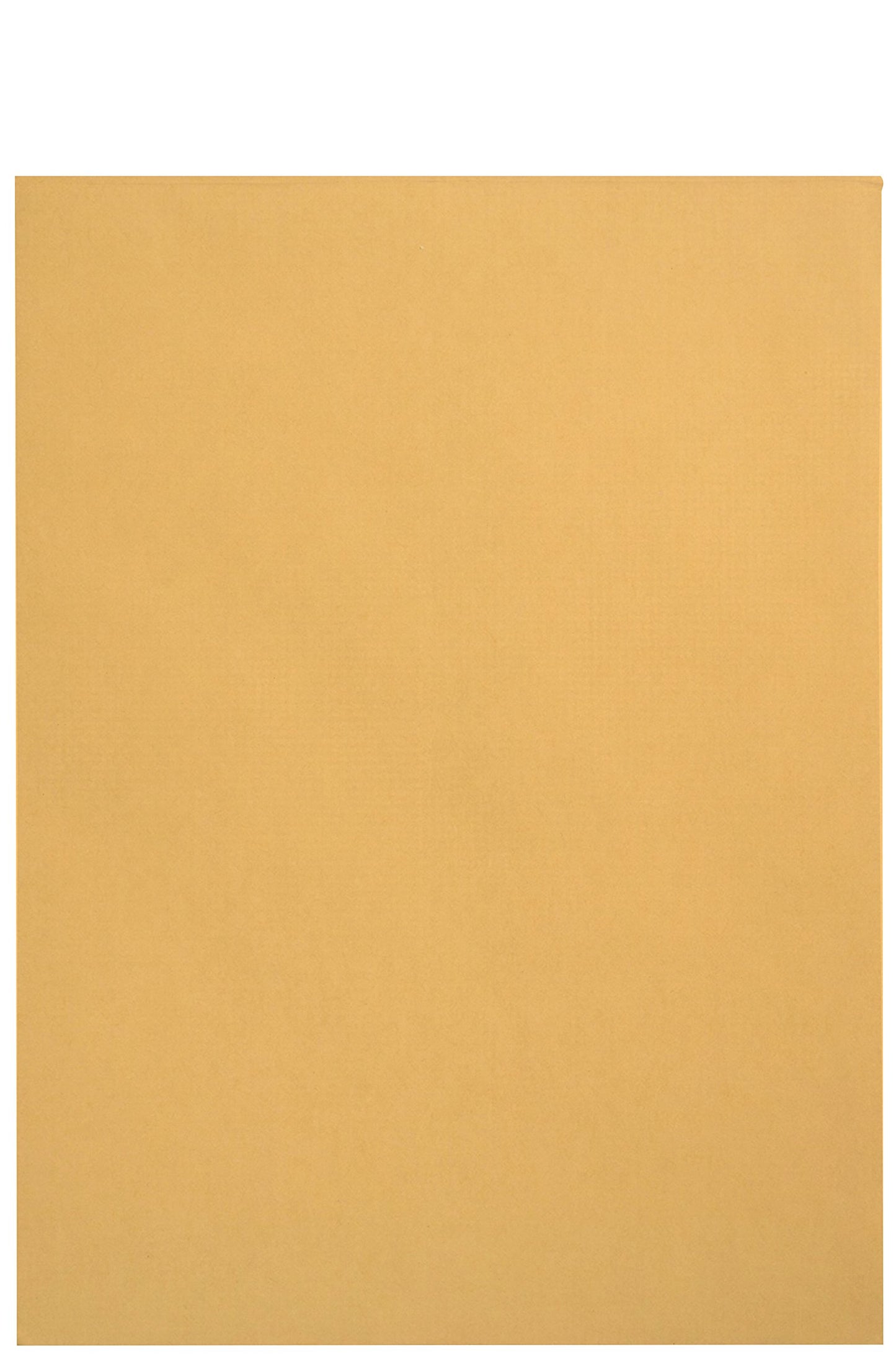 100 6 x 9 Self Seal Golden Brown Kraft Catalog Envelopes - Oversize 6 x 9 Envelope Peel and Seal Flap with 28 Pound Kraft Paper Envelopes - Printer Friendly Design - 100 Count