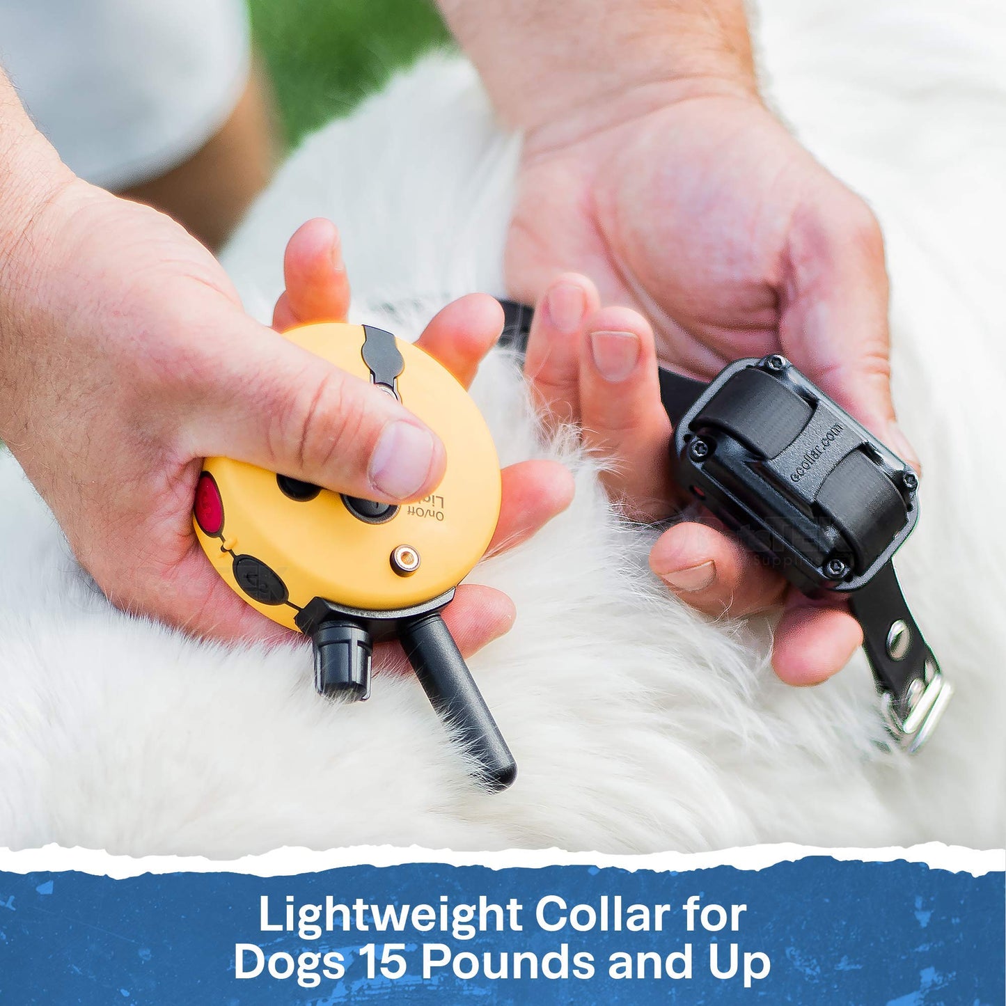 Educator ET-300 Mini E Collar for Dog Training with Remote - 1/2 Mile Range, Waterproof, 100 Blunt Stimulation Levels, Tone or Vibration Mode, Night Light Tracking for Small, Medium & Large Dogs