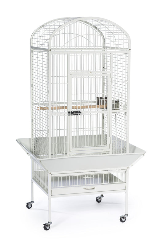 Prevue Pet Products Large Dome Top Bird Cage - Medium Steel Cage with Casters, Dual Locks, Seed Guards, and Perches, Ideal for Cockatiels, Conures, and Similarly Sized Birds - Chalk White