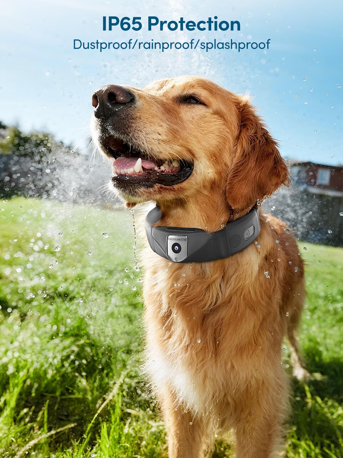 Fingarden GPS Wireless Dog Fence with 2K Camera & Voice Training & GPS Tracker, Dog Collar with App Waterproof Rechargeable Adjustable for Large Medium Dogs