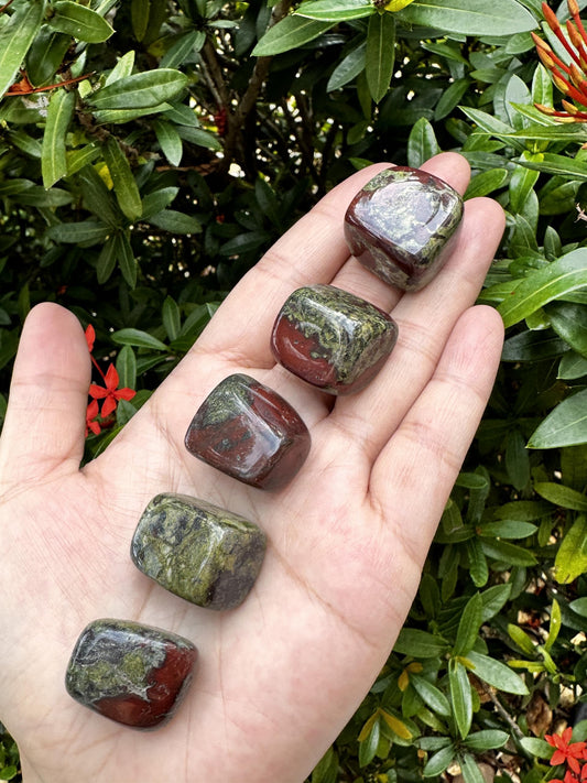 GAF TREASURES 5 Pcs Dragon Blood Jasper Tumbled Stones, Polished Dragon Blood Jasper Gemstone, Dragon Blood Jasper Healing Crystals (Dragon Blood Jasper)