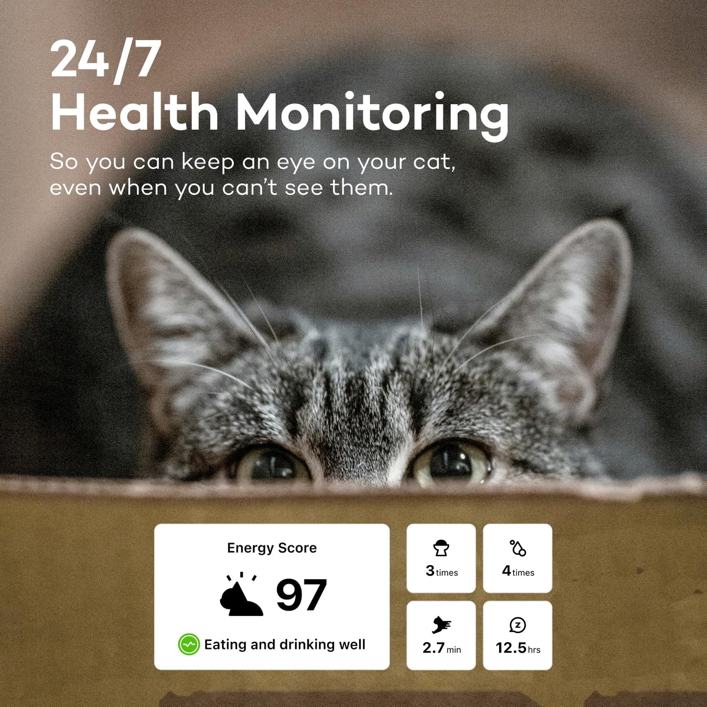 Catlog Health Tracker for Cats - Smart Cat Collar with Safety Breakaway Buckle for Indoor Cats, Wellness Alerts, Real-time Monitoring (Kimono (Sakura -Night-),XL)