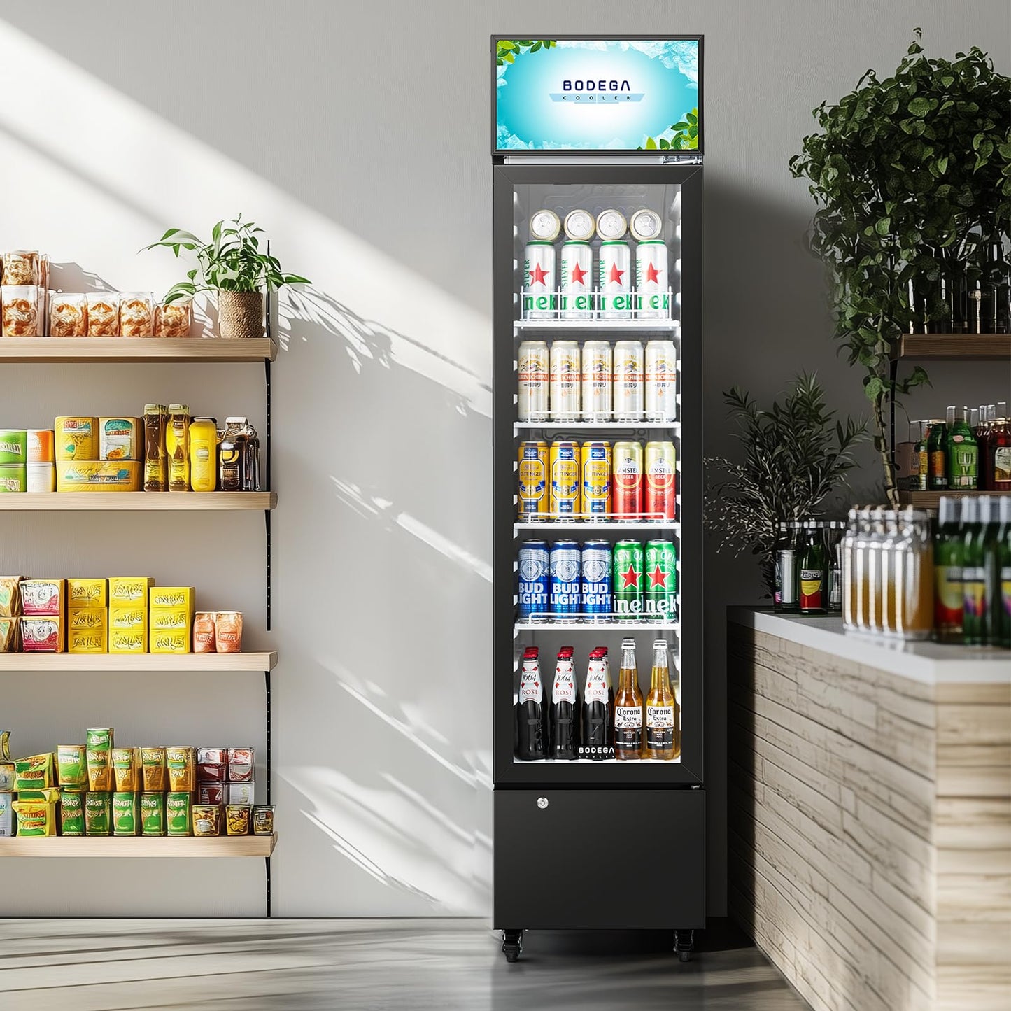 BODEGACOOLER Beverage Refrigerator and Cooler, 7.71 Cu. Ft Commercial Refrigerators for Drink, Beer, Tall Commercial Cooler for Beer, Soda, Single Door Display fridge