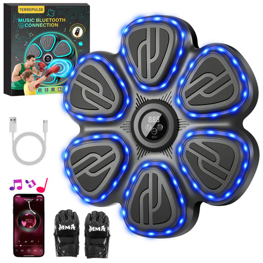 Terrepulse Music Boxing Machine for Kids,Wall Mounted Training Punching Machine for Teenager & Adults,Smart Interactive Boxing Machine with LED Lights & Bluetooth (Black)