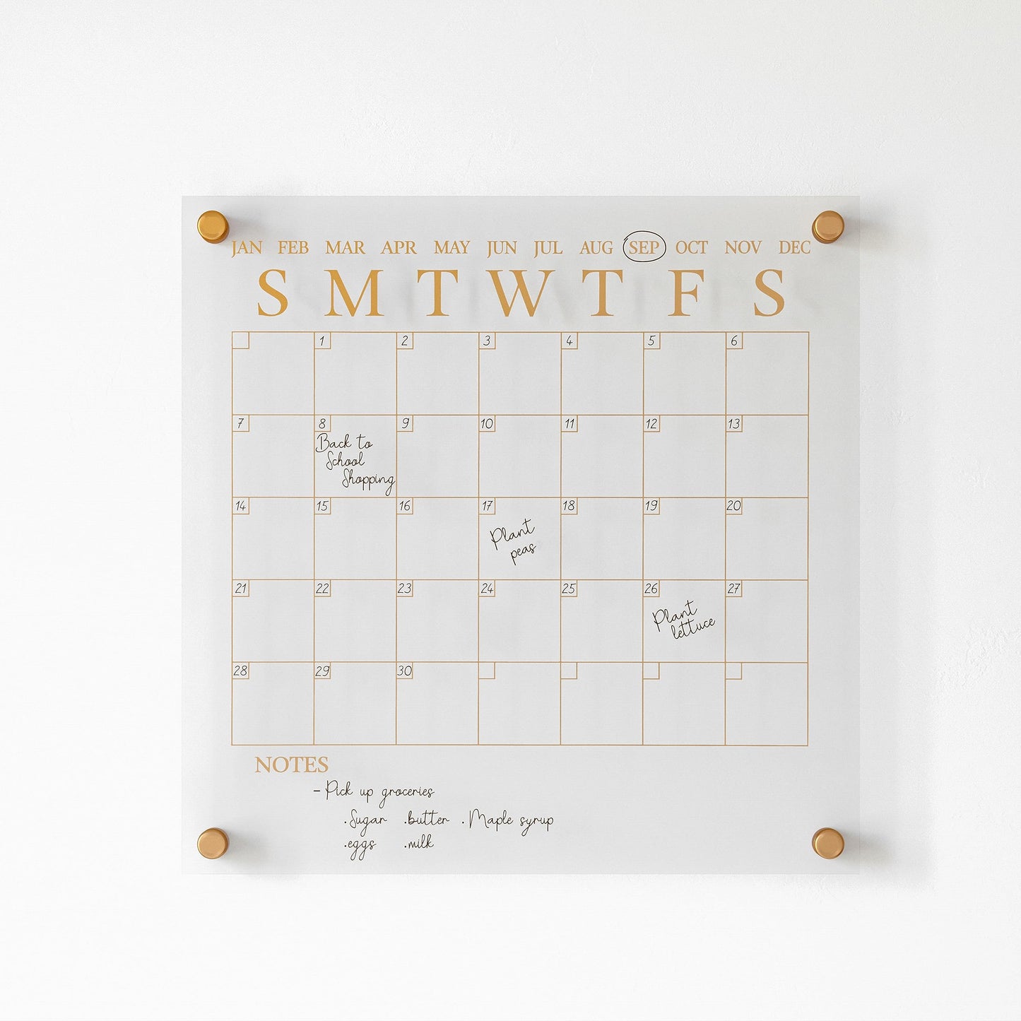 Martha Stewart Grayson Acrylic Dry Erase Wall Calendar with Dry Erase Marker, 14" Square, Clear with Gold Print