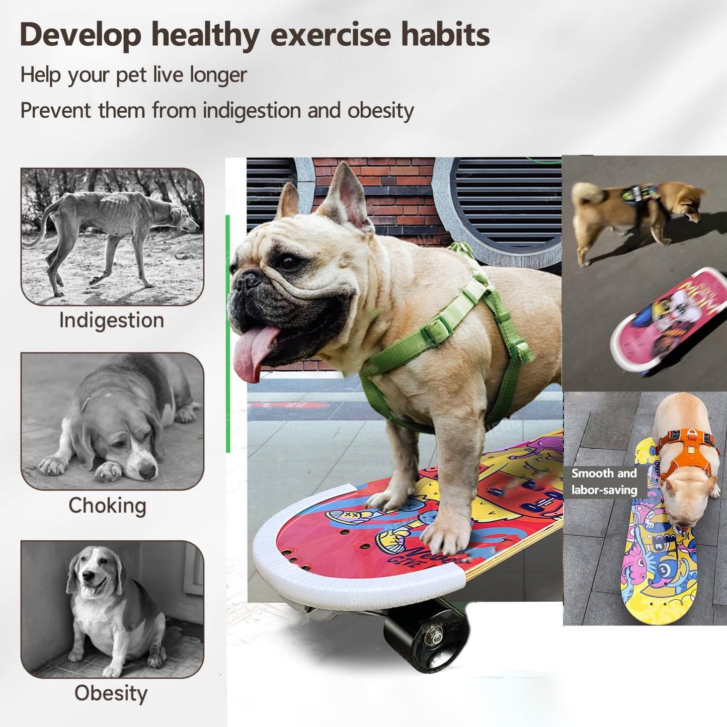Dog & Cat Skateboard, Pet Skateboard for Dogs and Cats - Smooth Flexible Cornering Wheels for Agility Training, Indoor Exercise, Outdoor Fun & Play, Interactive Fun