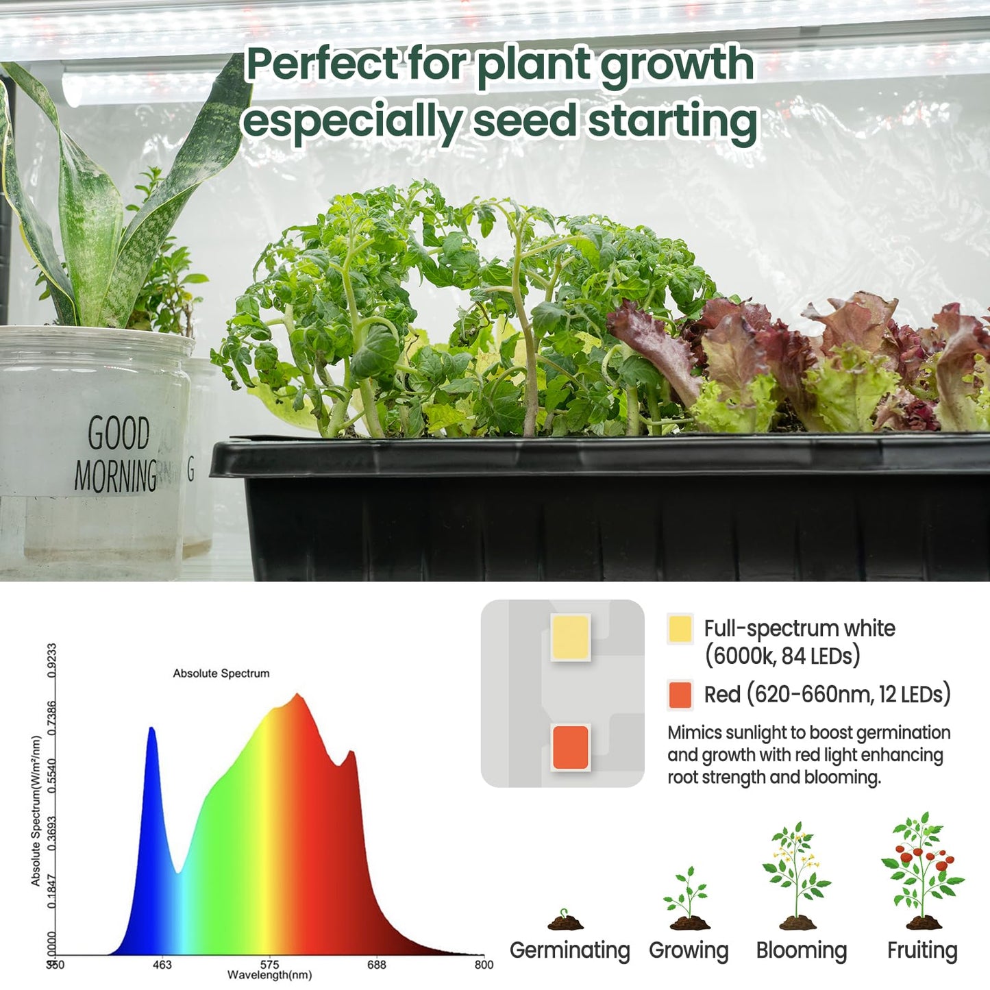 SOLIGT Indoor Greenhouse with Grow Lights - 5 Tier Plant Shelf & 8 x 2FT 6000K Full Spectrum Lights, Thick PVC Cover, Mesh Ventilation, Mini Small Greenhouse Cabinet for Seed Starting Seedlings Growth