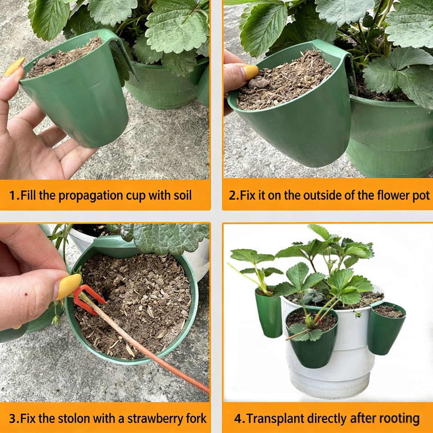 Propagation Cup Set Featuring Food Grade and Runner Forks Ideal for Strawberry Runners and Seedling Cultivation Drainage Planting Cups