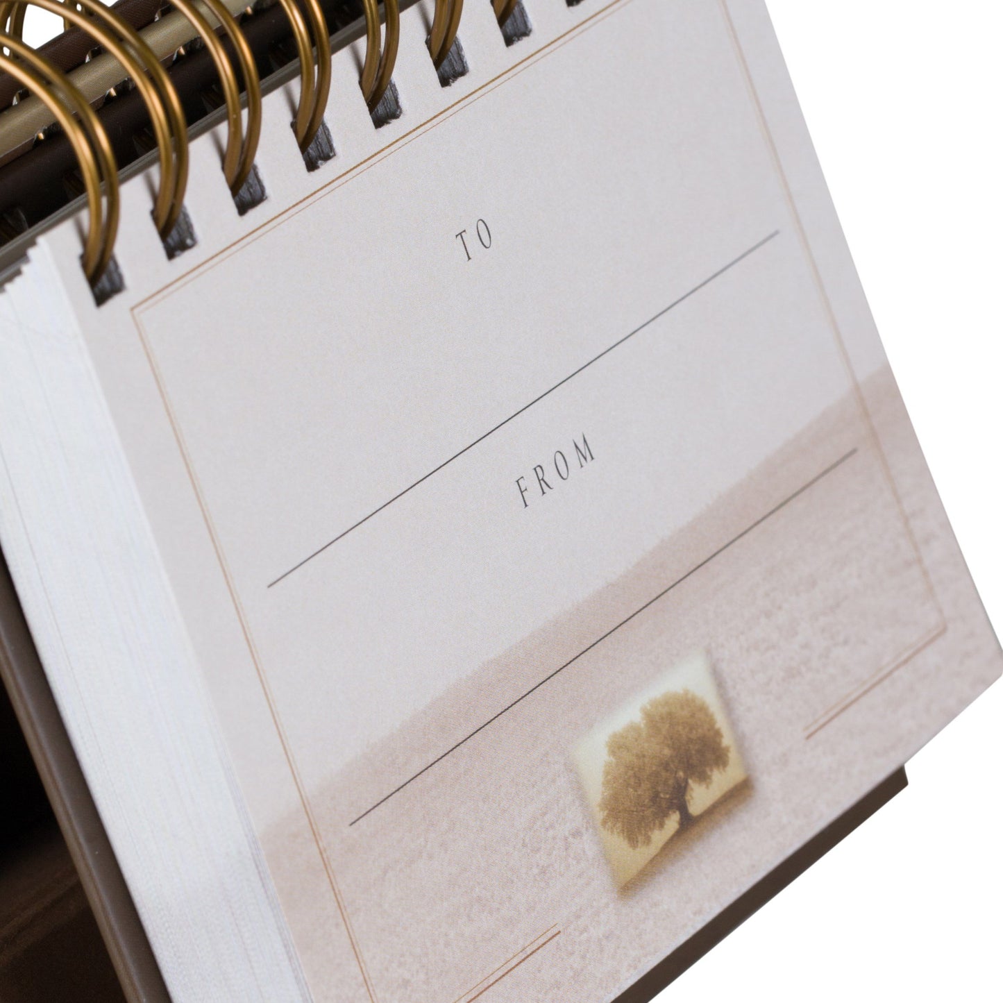 DaySpring - Max Lucado - Grace For The Moment: Inspirational Thoughts for Each Day of the Year - Perpetual Calendar (16755)