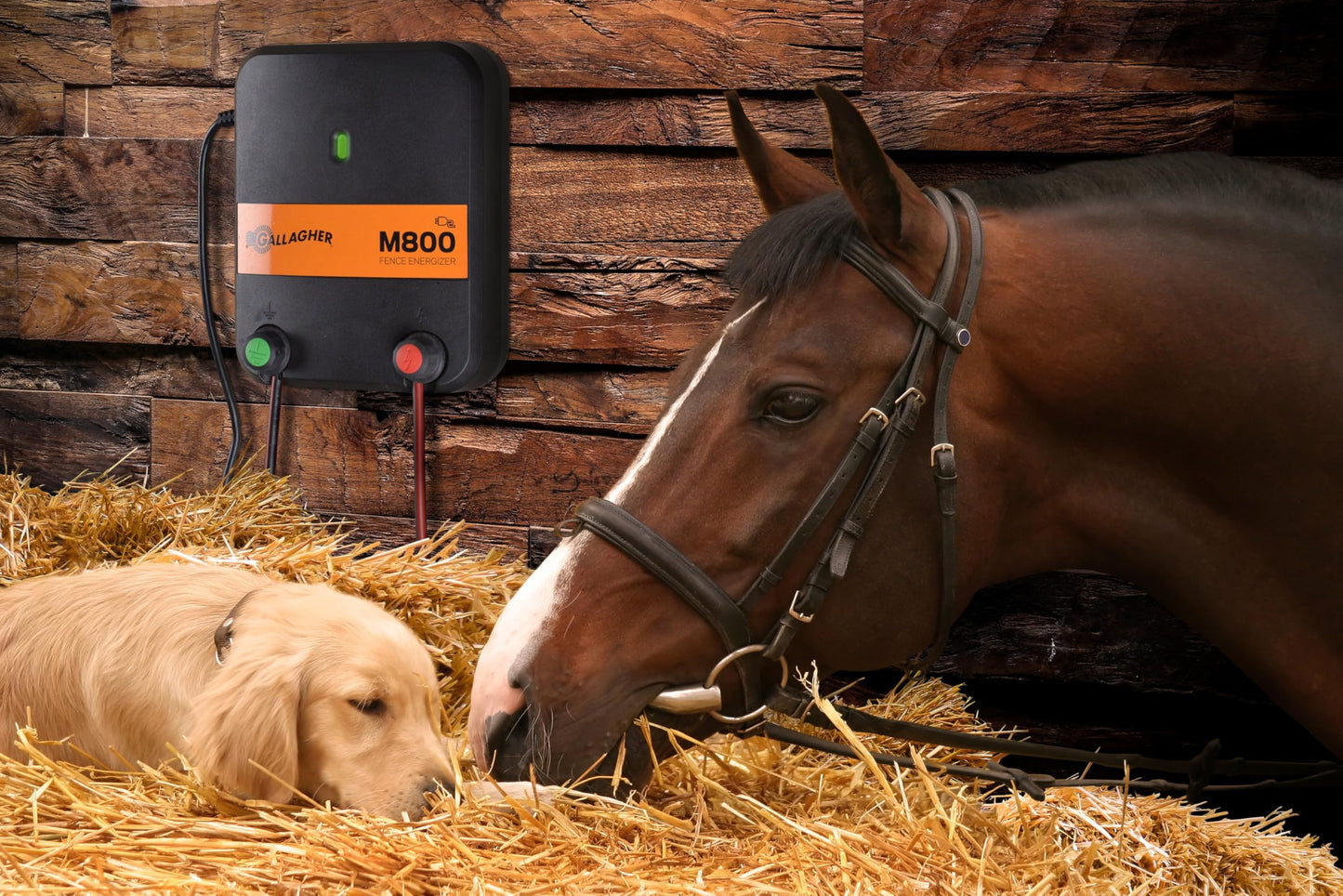 Gallagher M800 Electric Fence Charger | Powers Up to 90 Miles / 520 Acres of Clean Fence | 8.0 Joule 110v Fence Energizer for Livestock, Pastures, and Wildlife Exclusion