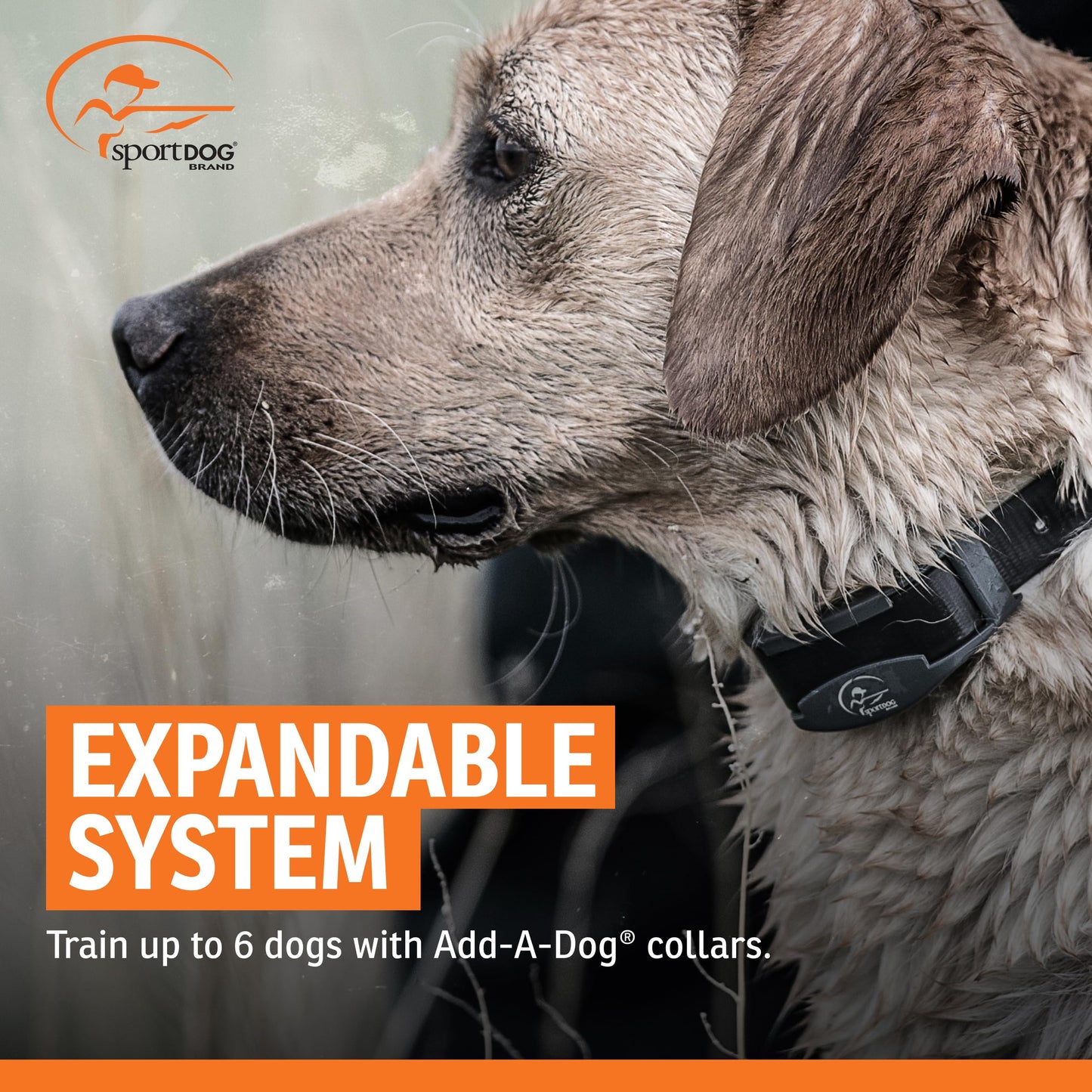 SportDOG SportTrainer 1275 Remote Trainer - Reliable Off-Leash Control - Quick-Charge Collar - Waterproof Dog Training Collar - OLED Display - 3/4-Mile Range - Orange