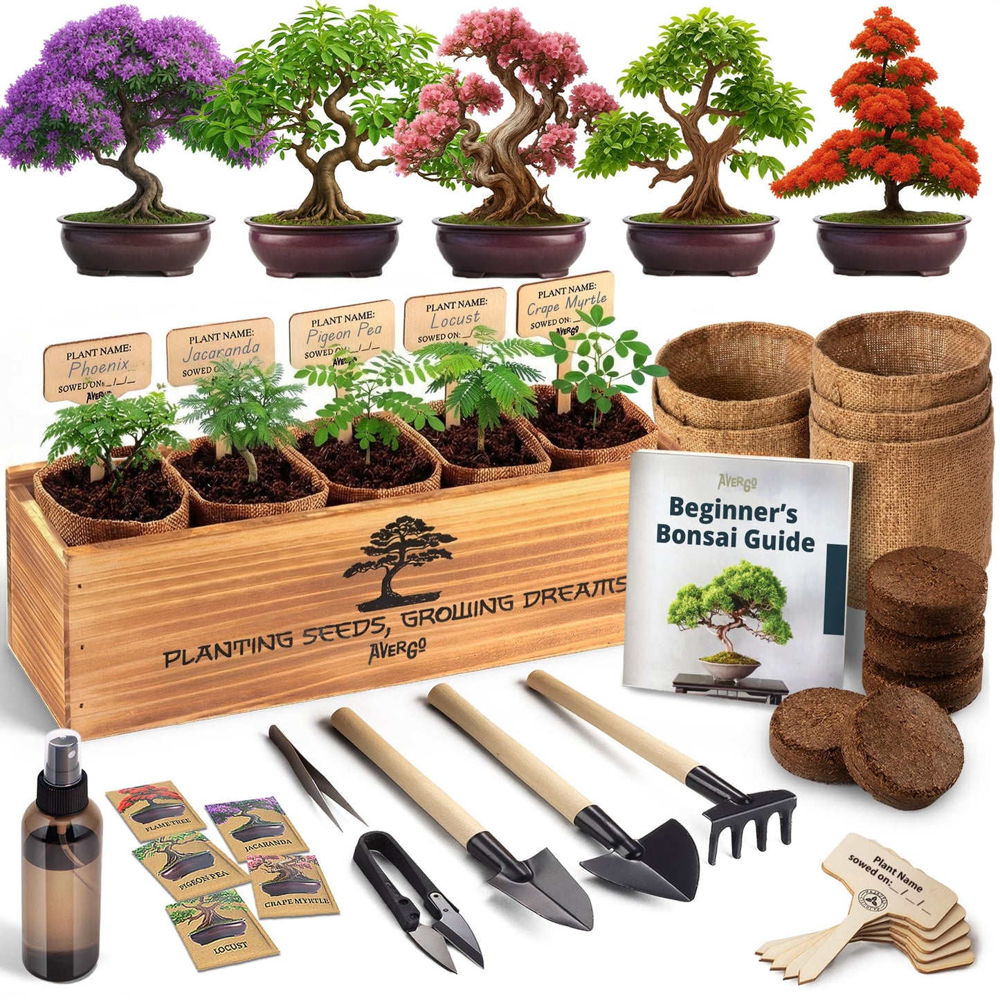 AVERGO Bonsai Tree Kit Classic - 5X Unique Japanese Bonzai Trees | Complete Indoor Bonsai Starter Kits for Growing Trees – DIY Gardening Gifts for Mother, Women & Men