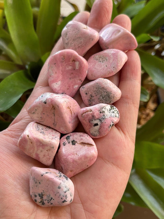GAF TREASURES 5 Pcs Rhodonite Tumbled Stones, Polished Rhodonite Gemstone, Rhodonite Healing Crystals (Rhodonite)