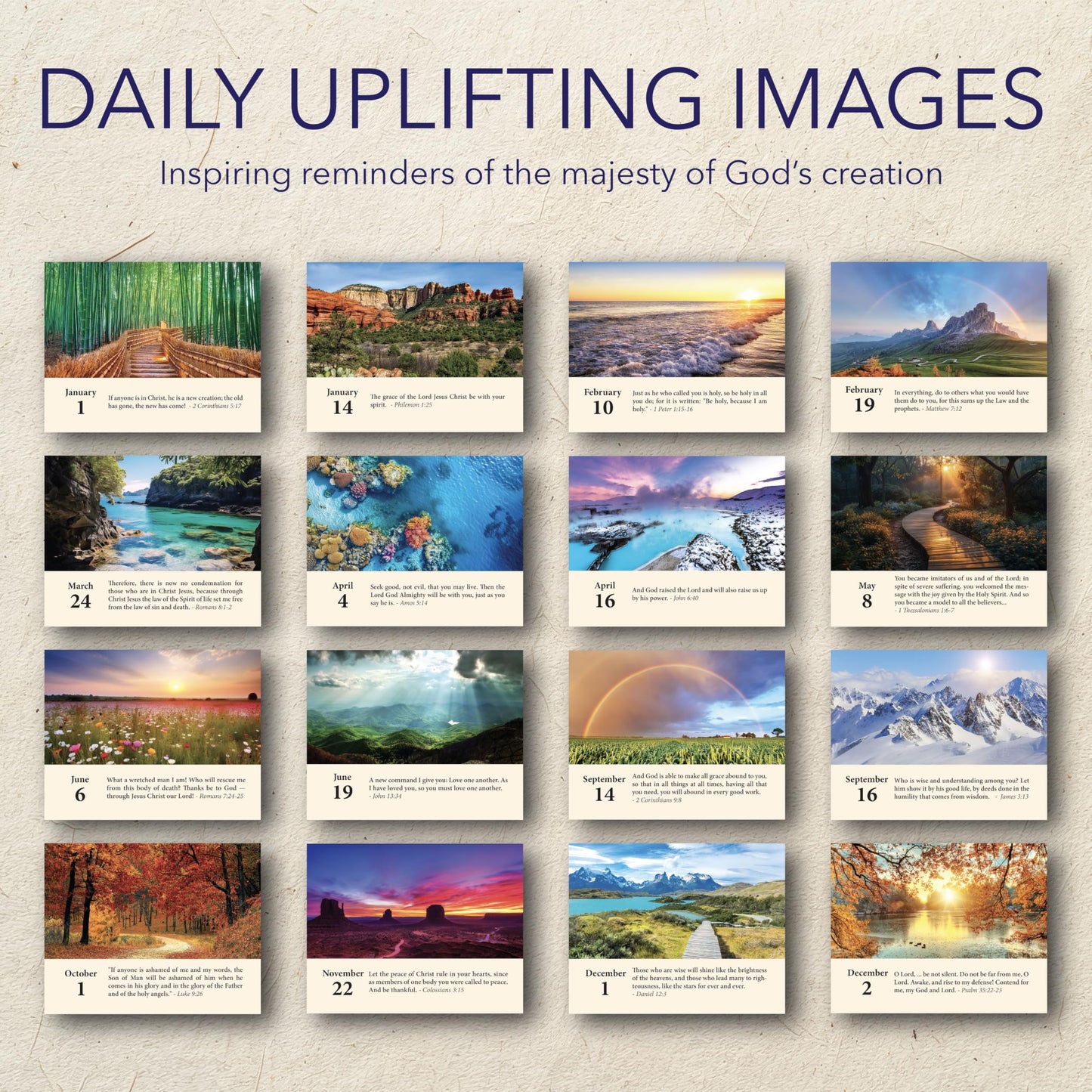 365 Bible Verses Daily Flip Desk Calendar - Undated Reusable Perpetual Flip Verses Christian Inspirational Gift for Men & Religious Gifts for Women (Bible Verses NIV)