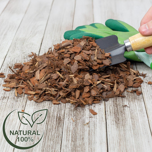 100% Natural Pine Bark Mulch Nuggets (8 Quarts), Small Mulch Chips for Indoor/Outdoor Container Gardening, Ideal for Soil Supplement, Houseplant Mulch